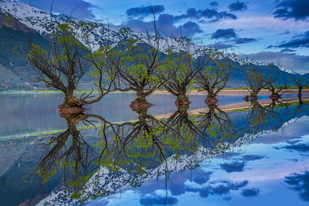 Neuseeland - Heiko Beier