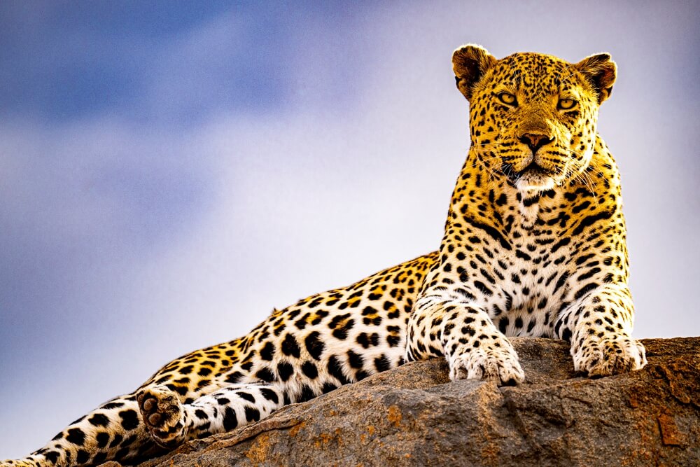 Südafrika