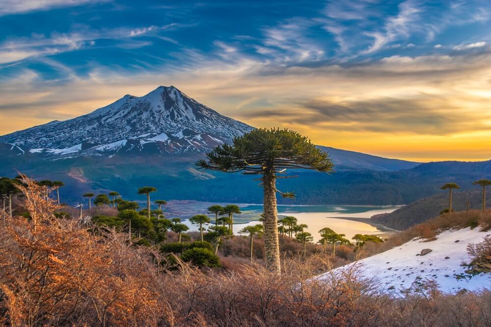 Chile