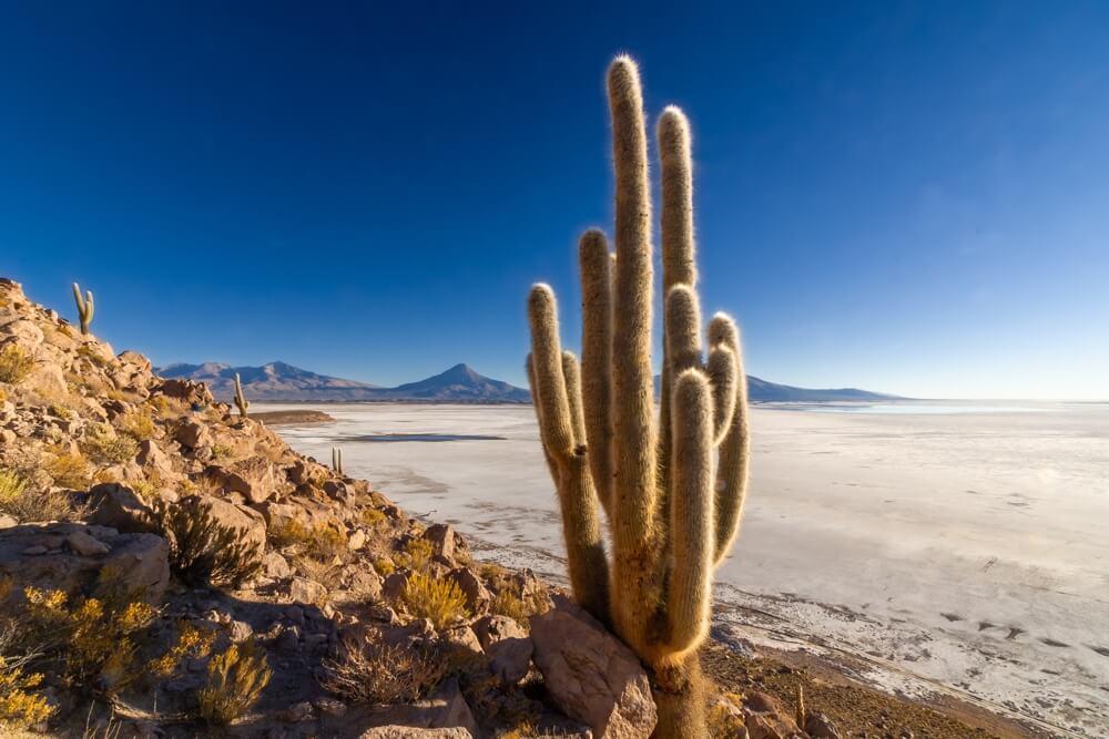 Chile