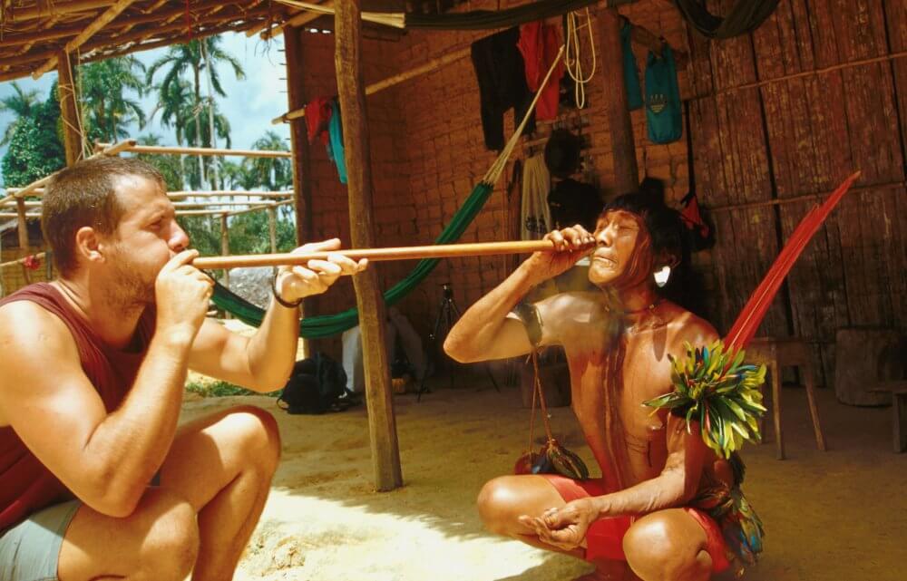 Brasilien - Brümmer - Glöckner