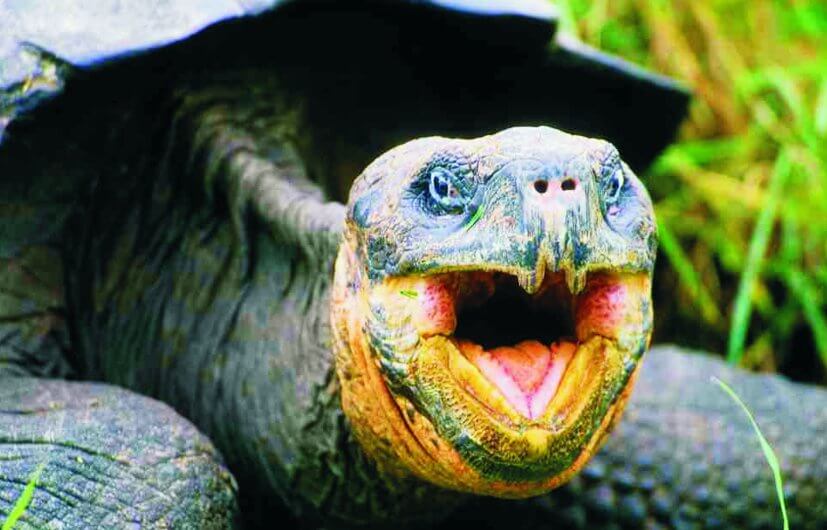 Ecuador - Kai-Uwe Küchler