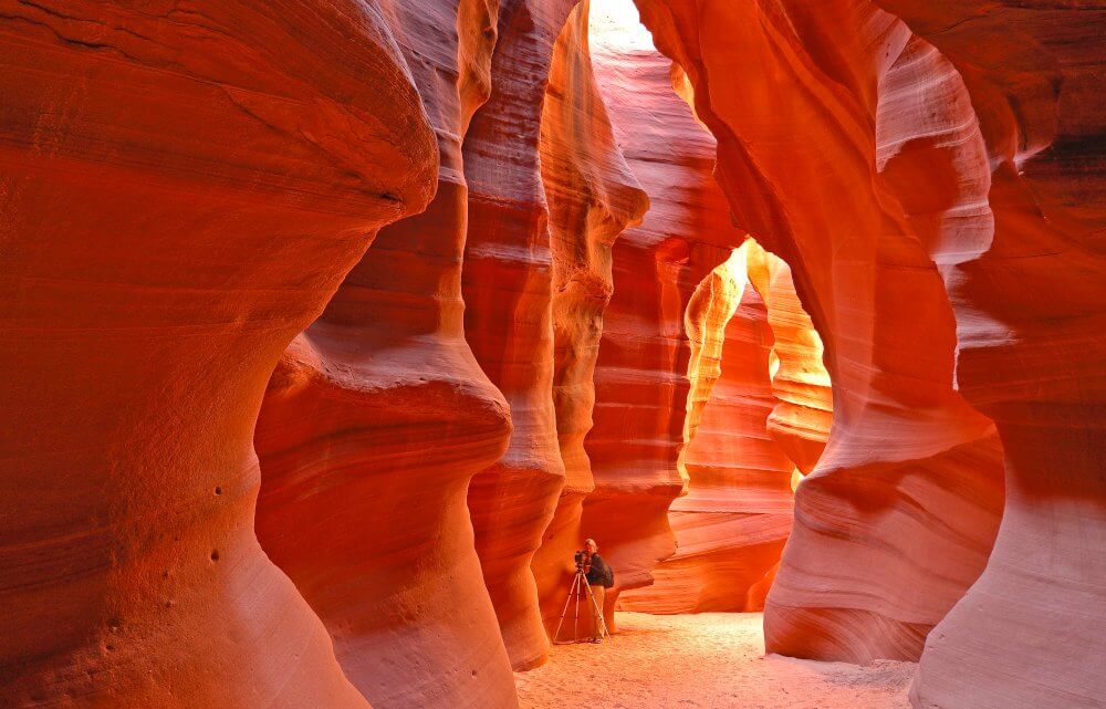 USA - Zwerger & Schoner