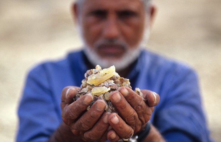 Arabien - Hartmut Fiebig