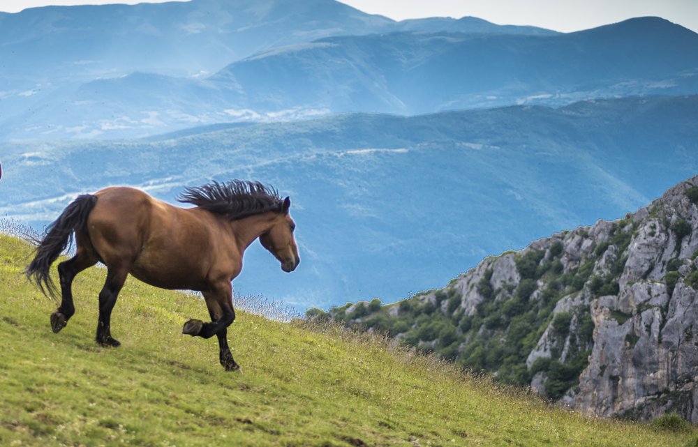 Italien - Martin Engelmann