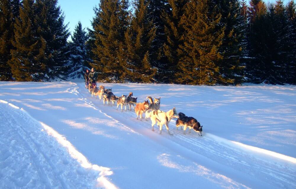 2009 Wintercamp