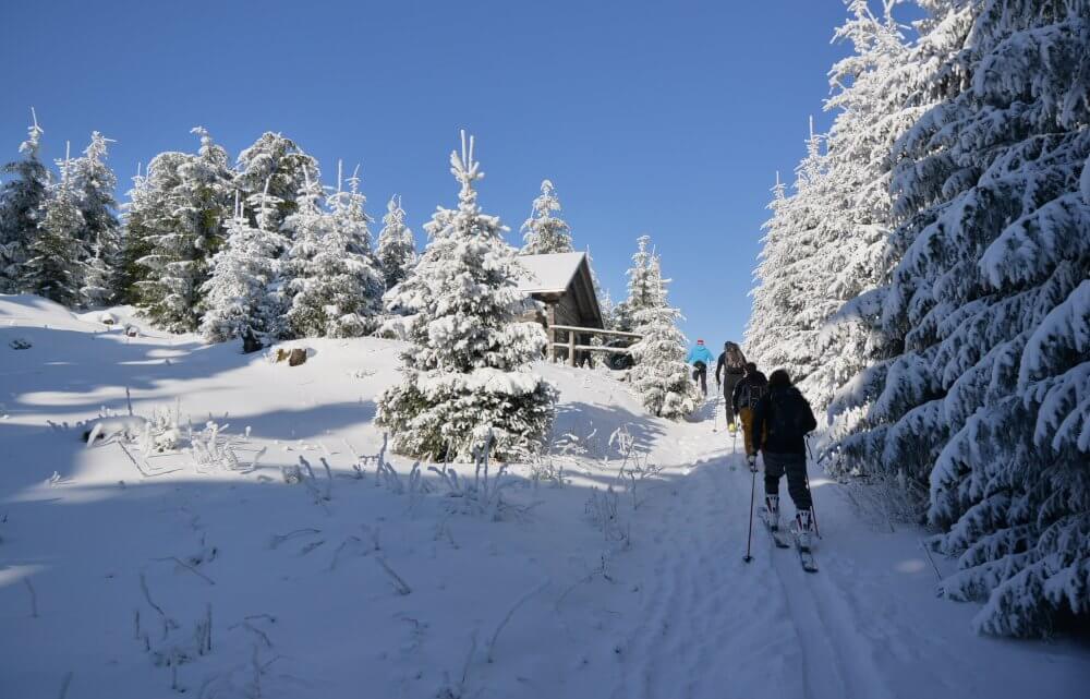 2015 Backcountry
